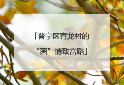 晋宁区青龙村的“菌”情致富路