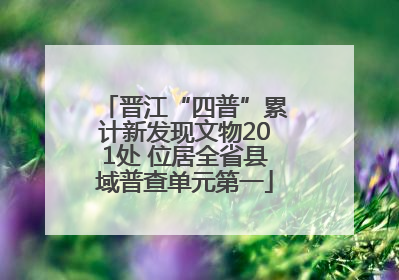 晋江“四普”累计新发现文物201处 位居全省县域普查单元第一
