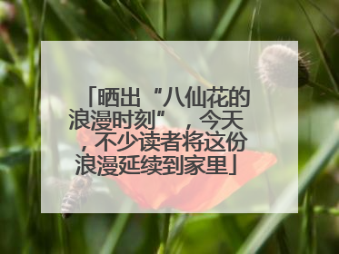 晒出“八仙花的浪漫时刻”，今天，不少读者将这份浪漫延续到家里