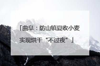 曲阜：防山镇夏收小麦实现烘干“不过夜”