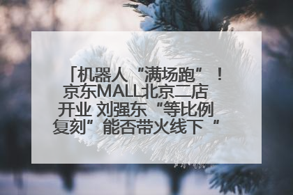 机器人“满场跑”！京东MALL北京二店开业 刘强东“等比例复刻”能否带火线下“618”？