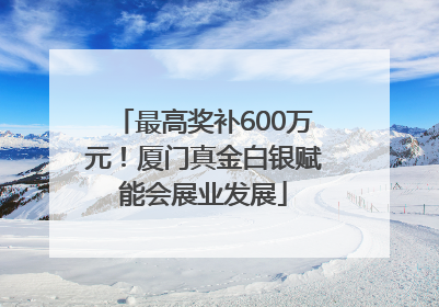最高奖补600万元！厦门真金白银赋能会展业发展