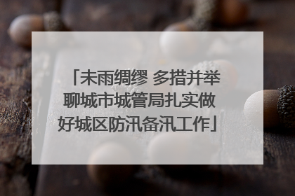 未雨绸缪 多措并举 聊城市城管局扎实做好城区防汛备汛工作