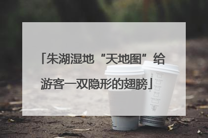 朱湖湿地“天地图”给游客一双隐形的翅膀
