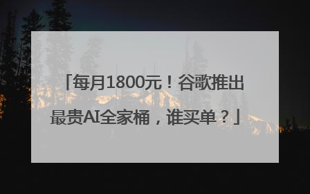 每月1800元！谷歌推出最贵AI全家桶，谁买单？