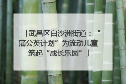 武昌区白沙洲街道：“蒲公英计划”为流动儿童筑起“成长乐园”