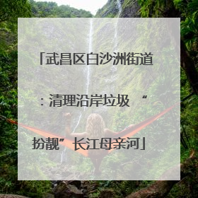 武昌区白沙洲街道：清理沿岸垃圾 “扮靓”长江母亲河