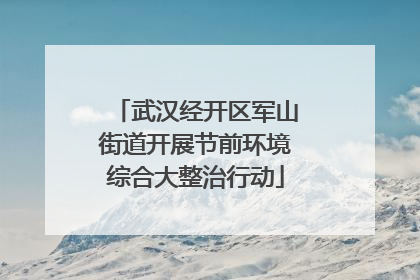 武汉经开区军山街道开展节前环境综合大整治行动