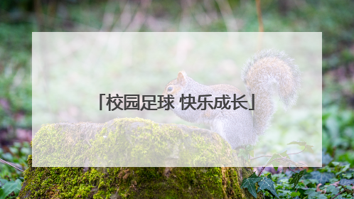 校园足球 快乐成长