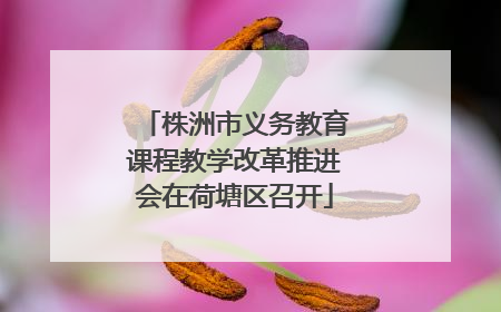 株洲市义务教育课程教学改革推进会在荷塘区召开