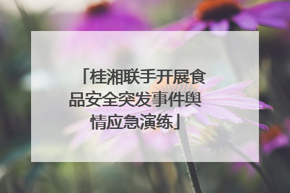 桂湘联手开展食品安全突发事件舆情应急演练