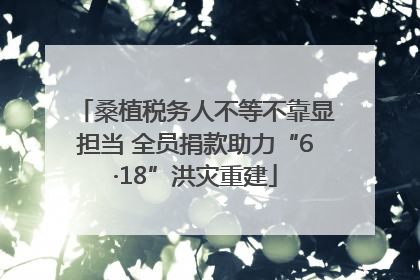 桑植税务人不等不靠显担当 全员捐款助力“6·18”洪灾重建