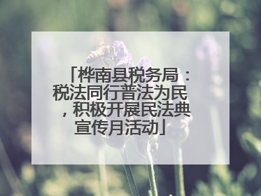 桦南县税务局：税法同行普法为民，积极开展民法典宣传月活动