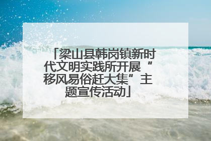 梁山县韩岗镇新时代文明实践所开展“移风易俗赶大集”主题宣传活动