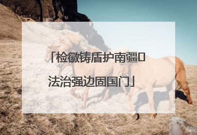 检徽铸盾护南疆 法治强边固国门