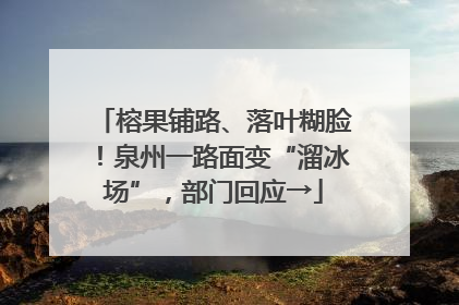 榕果铺路、落叶糊脸！泉州一路面变“溜冰场”，部门回应→