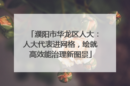濮阳市华龙区人大：人大代表进网格，绘就高效能治理新图景