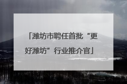 潍坊市聘任首批“更好潍坊”行业推介官