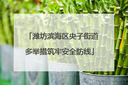 潍坊滨海区央子街道多举措筑牢安全防线