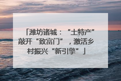 潍坊诸城：“土特产”敲开“致富门”，激活乡村振兴“新引擎”