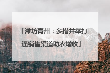 潍坊青州：多措并举打通销售渠道助农增收