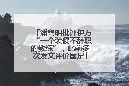 潘粤明批评伊万“一个装傻不辞职的教练”，此前多次发文评价国足