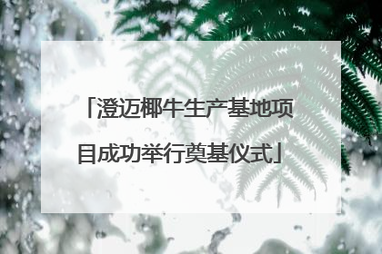 澄迈椰牛生产基地项目成功举行奠基仪式