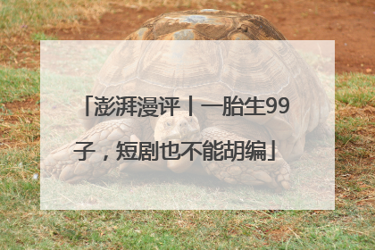 澎湃漫评丨一胎生99子，短剧也不能胡编