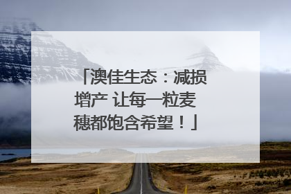 澳佳生态：减损增产 让每一粒麦穗都饱含希望！