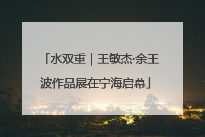水双重｜王敏杰·余王波作品展在宁海启幕
