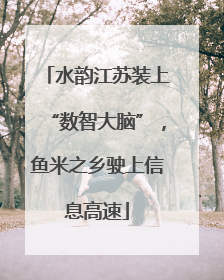 水韵江苏装上“数智大脑”，鱼米之乡驶上信息高速