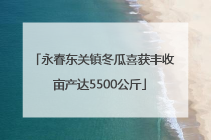 永春东关镇冬瓜喜获丰收 亩产达5500公斤