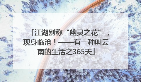 江湖别称“幽灵之花”，现身临沧！——有一种叫云南的生活之365天