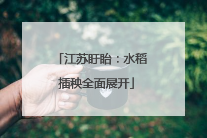 江苏盱眙：水稻插秧全面展开