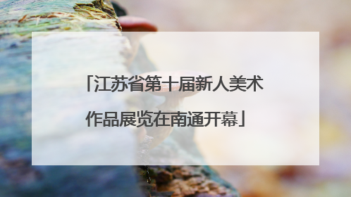 江苏省第十届新人美术作品展览在南通开幕