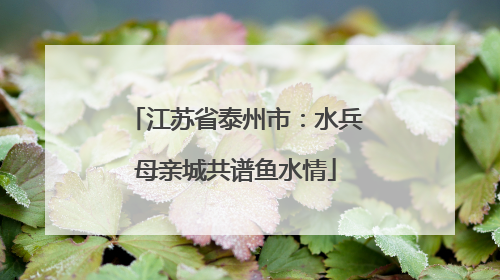 江苏省泰州市：水兵母亲城共谱鱼水情