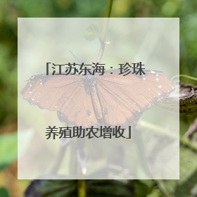 江苏东海：珍珠养殖助农增收