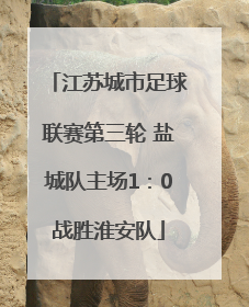 江苏城市足球联赛第三轮 盐城队主场1：0战胜淮安队
