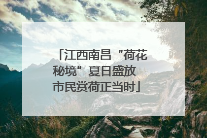 江西南昌“荷花秘境”夏日盛放 市民赏荷正当时
