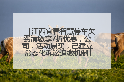 江西宜春智慧停车欠费清缴享7折优惠，公司：活动属实，已建立常态化诉讼追缴机制