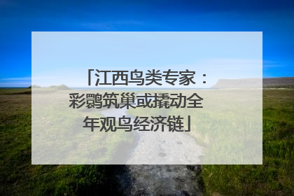 江西鸟类专家：彩鹮筑巢或撬动全年观鸟经济链