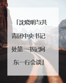 沈晓明与共青团中央书记处第一书记阿东一行会谈
