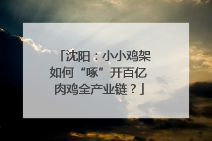 沈阳：小小鸡架如何“啄”开百亿肉鸡全产业链？
