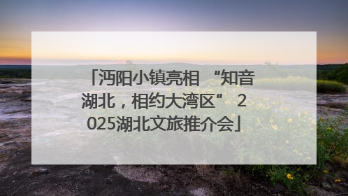 沔阳小镇亮相 “知音湖北，相约大湾区” 2025湖北文旅推介会