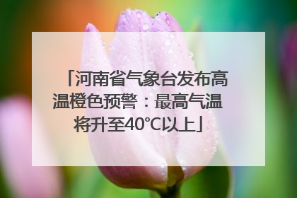 河南省气象台发布高温橙色预警：最高气温将升至40℃以上