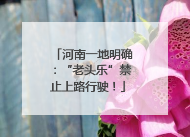 河南一地明确：“老头乐”禁止上路行驶！