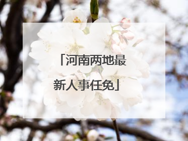 河南两地最新人事任免