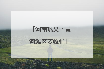 河南巩义：黄河滩区麦收忙