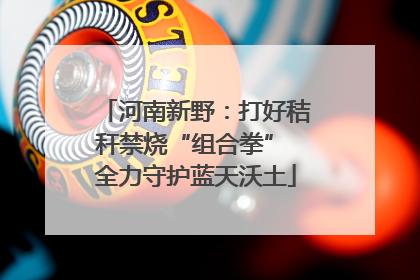 河南新野：打好秸秆禁烧“组合拳” 全力守护蓝天沃土