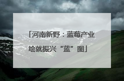 河南新野：蓝莓产业绘就振兴“蓝”图